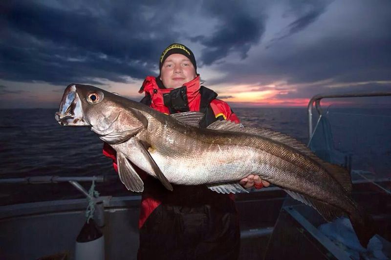 A Beginners Guide to Cod Fishing in Norway